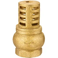 brass cheeck valve jd-7016